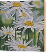 Daisy Garden Wood Print