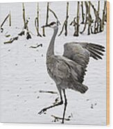 Dancing Sandhill Crane Wood Print