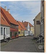 Danish Village Wood Print