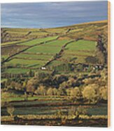 Dartmoor From Bonehill Wood Print