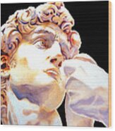 The . David .  In Black   Michelangelo Wood Print
