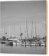 Davis Island Yacht Club Bw Wood Print