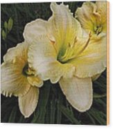 Day Lilies A Short Life Wood Print