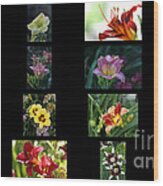 Day Lily Collage Wood Print