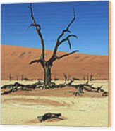Dead Vlei Tree - Namibia Wood Print