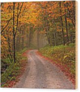 Deep Autumn Forest Road Wood Print