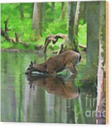 Deer Drinking Water Wood Print