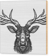 Deer Head Wood Print