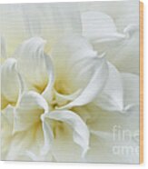 Delicate White Softness Wood Print