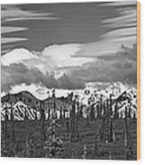 Denali In Clouds Wood Print