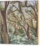 Descanso Oaks Wood Print