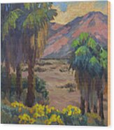 Desert Marigolds At Andreas Canyon Wood Print