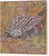 Desert Tortoise Eating Cactus Wood Print
