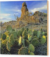 Desert With Cactus And Rock Formation Landscape Sunset Wood Print