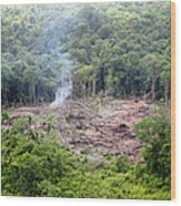Desmatamento Floresta Amazônica Wood Print