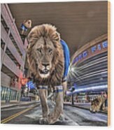 Detroit Lions At Ford Field Wood Print