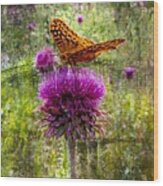 Digital Butterfly Painting Wood Print