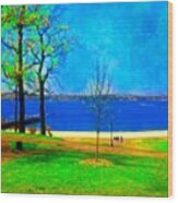 #digitalart #landscape #beach #park Wood Print