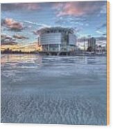 Discovery World On Ice Wood Print