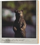 Does The Bear? Polaroid Wood Print