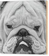Dog Face Wood Print