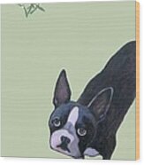 Dog With Mistletoe Wood Print