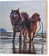 Dogs In The Beach Wood Print
