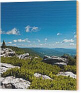 Dolly Sods Wood Print