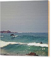 Dolphins Swimming With The Surfers At Asilomar State Beach Wood Print
