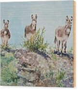 Donkeys Wood Print