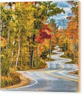 Door County Road To Northport In Autumn Wood Print