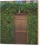 Door In The Hedge Savannah Wood Print