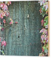 Door To Secret Garden Wood Print