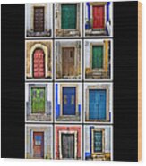 Doors Of Portugal Wood Print