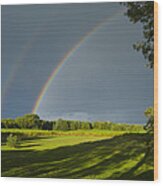 Double Rainbow Over Fields Wood Print