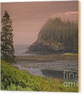 Downeast Coast Wood Print