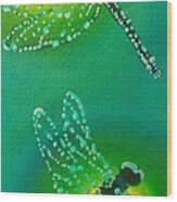 Dragonflies Adorned With Morning Dew Wood Print