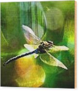 Dragonfly In Sunlight - Yellow Sunlight Wood Print