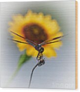 Dragonfly On Yellow Wood Print