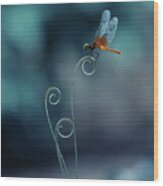 Dragonfly Wood Print