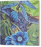 Dream Of A Blue Dragonfly Wood Print