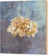 Dried Hydrangea Wood Print