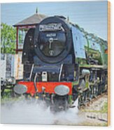 Duchess Of Sutherland Wood Print