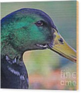 Duck Personality Wood Print