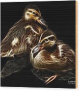 Duckling Duo - 9530 F C Wood Print