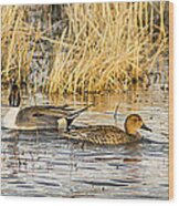 Ducks In A Row Wood Print