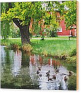 Ducks On Pond Wood Print