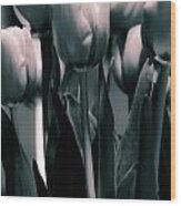 Duo-toned Tulip Wood Print