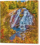 Dupont Forest High Falls In Autumn Wood Print