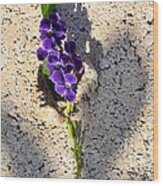 Duranta- Shadow Play 1 Wood Print